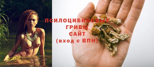 ECSTASY Баксан