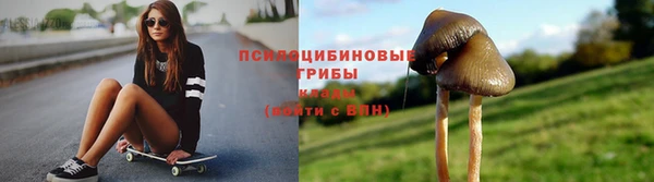 молекула духа Балахна