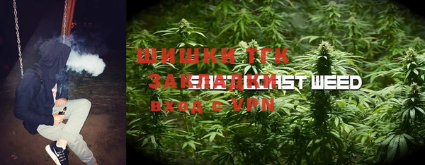 молекула духа Балахна