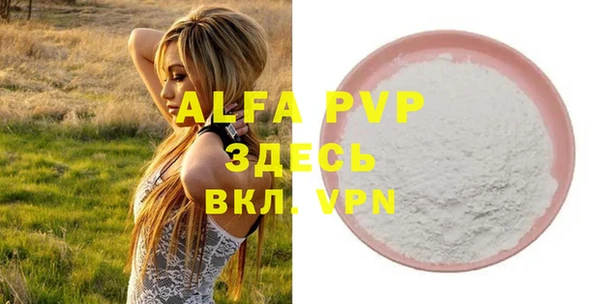молекула духа Балахна