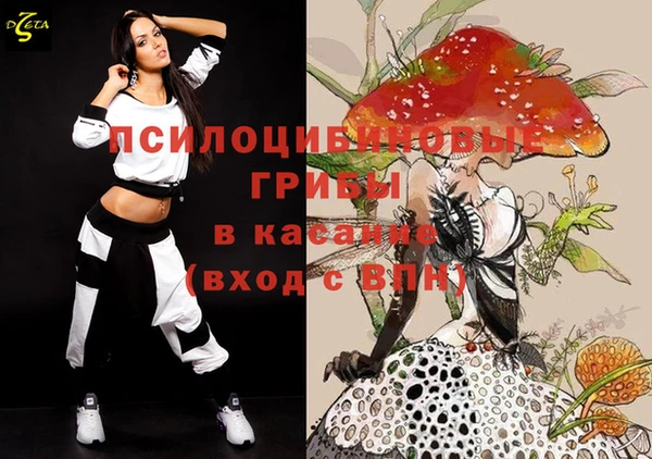 ECSTASY Баксан