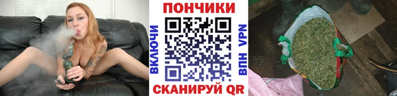где купить   Бугуруслан  Бошки марихуана марихуана 
